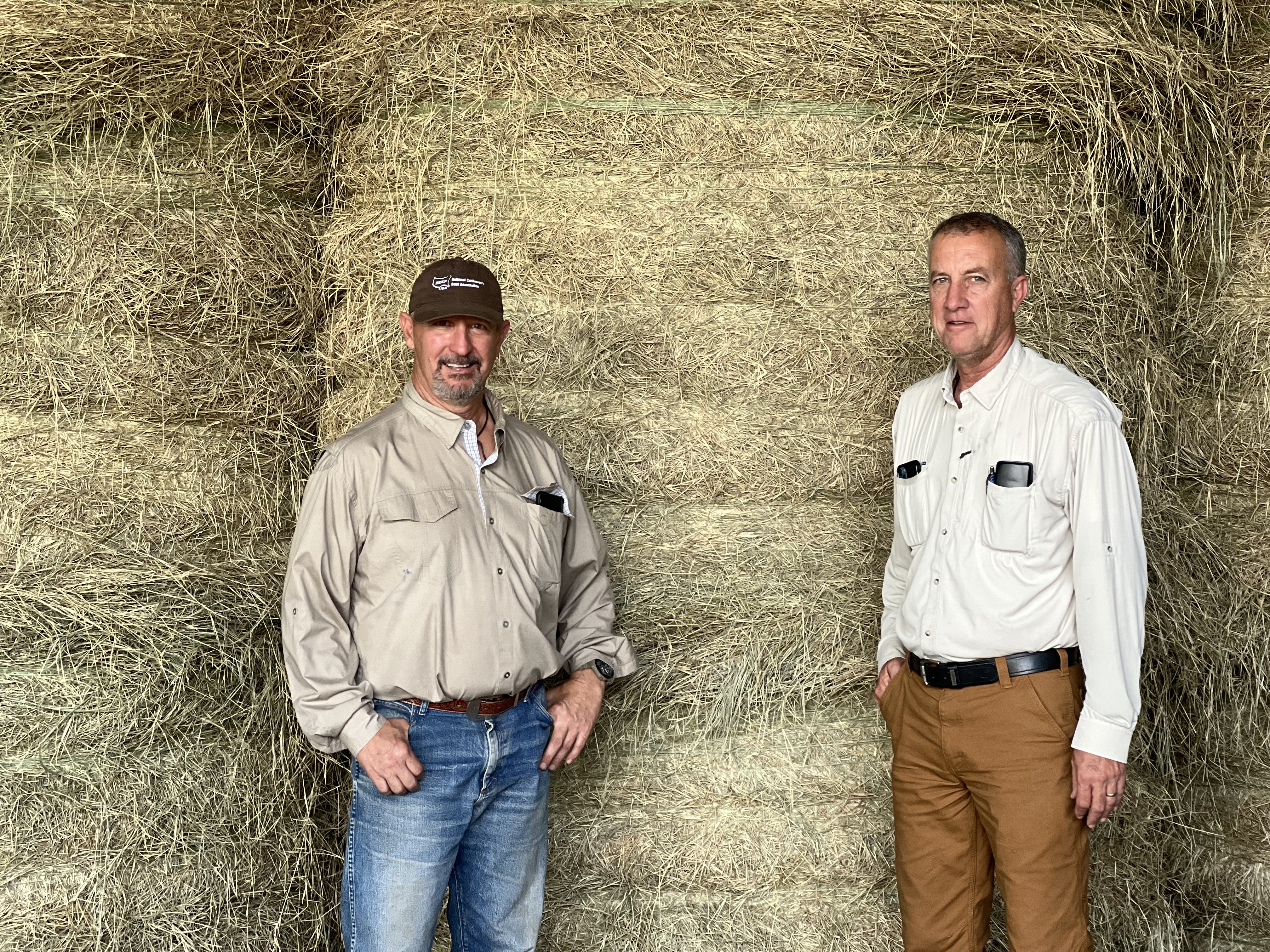 Reduce Feed Costs and Waste With Forage Testing